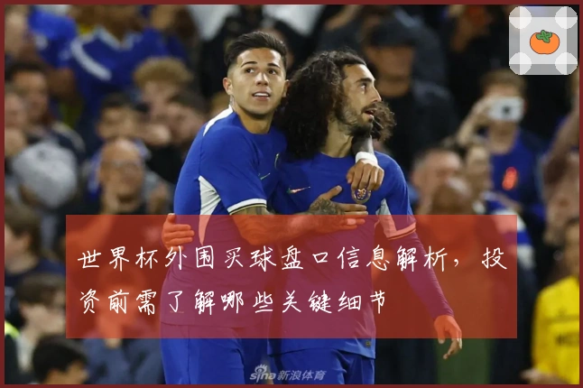 世界杯外围买球盘口信息解析，投资前需了解哪些关键细节