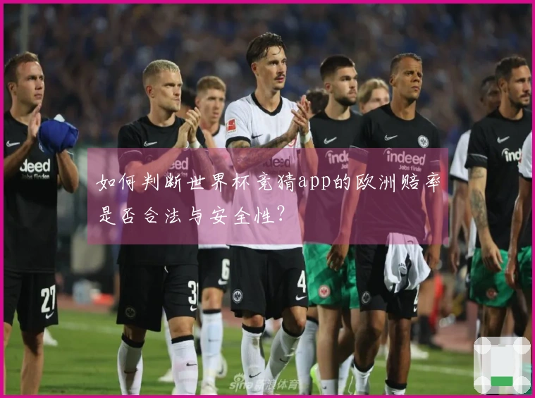 如何判断世界杯竞猜app的欧洲赔率是否合法与安全性？