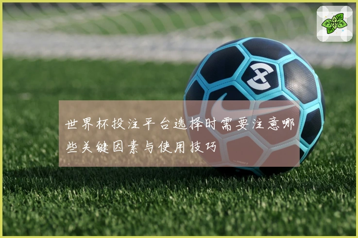 世界杯投注平台选择时需要注意哪些关键因素与使用技巧