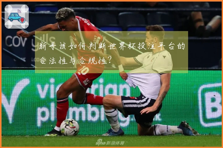 新手该如何判断世界杯投注平台的合法性与合规性？