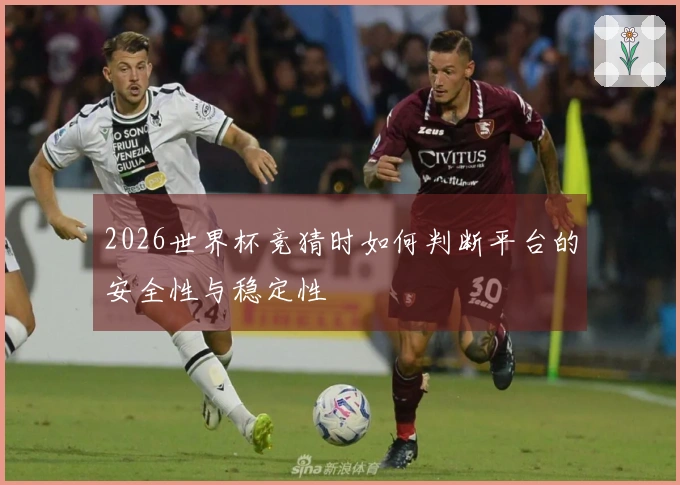 2026世界杯竞猜时如何判断平台的安全性与稳定性