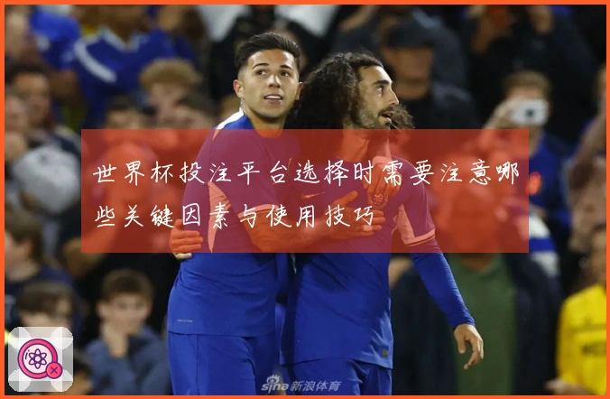 世界杯投注平台选择时需要注意哪些关键因素与使用技巧