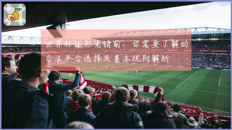 世界杯体彩竞猜前，你需要了解的合法平台选择及基本规则解析