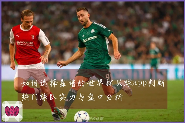 如何选择靠谱的世界杯买球app判断热门球队实力与盘口分析
