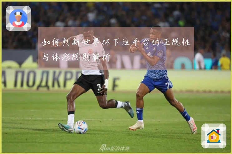 如何判断世界杯下注平台的正规性与体彩规则解析