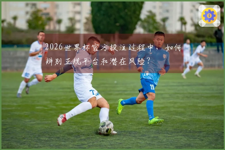2026世界杯官方投注过程中，如何辨别正规平台和潜在风险？