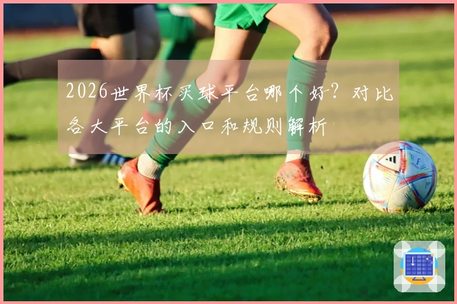 2026世界杯买球平台哪个好？对比各大平台的入口和规则解析