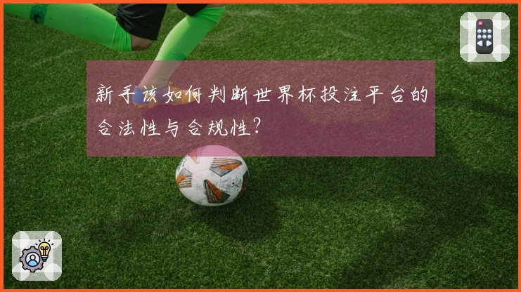 新手该如何判断世界杯投注平台的合法性与合规性？