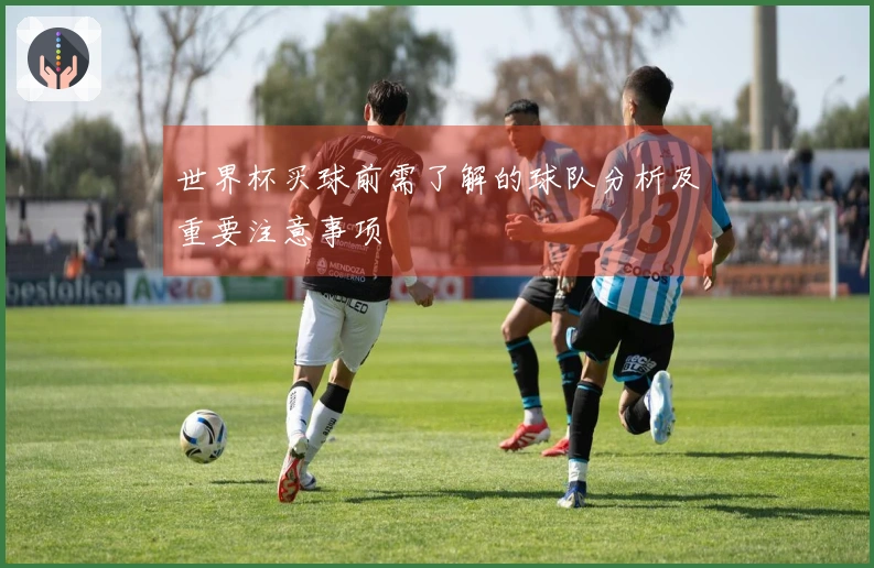 世界杯买球前需了解的球队分析及重要注意事项