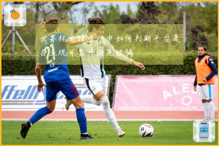 世界杯竞猜活动中如何判断平台是否正规可靠并避免被骗