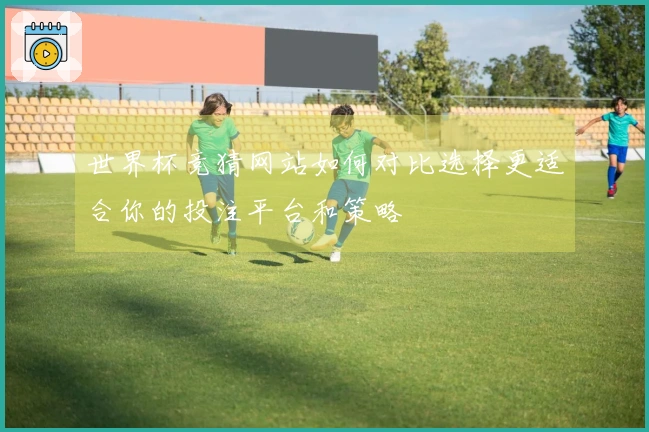 世界杯竞猜网站如何对比选择更适合你的投注平台和策略