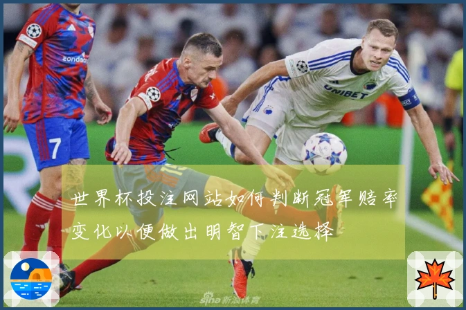世界杯投注网站如何判断冠军赔率变化以便做出明智下注选择