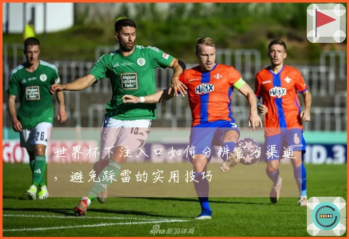 世界杯下注入口如何分辨官方渠道，避免踩雷的实用技巧