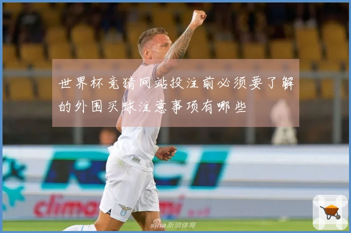 世界杯竞猜网站投注前必须要了解的外围买球注意事项有哪些