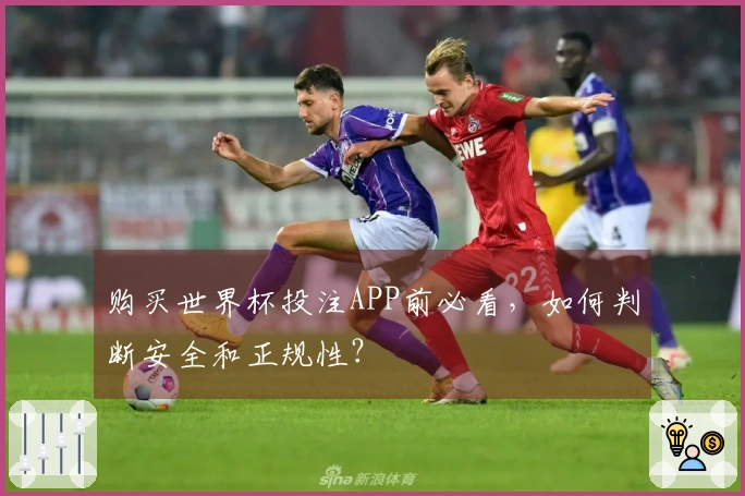 购买世界杯投注APP前必看，如何判断安全和正规性？