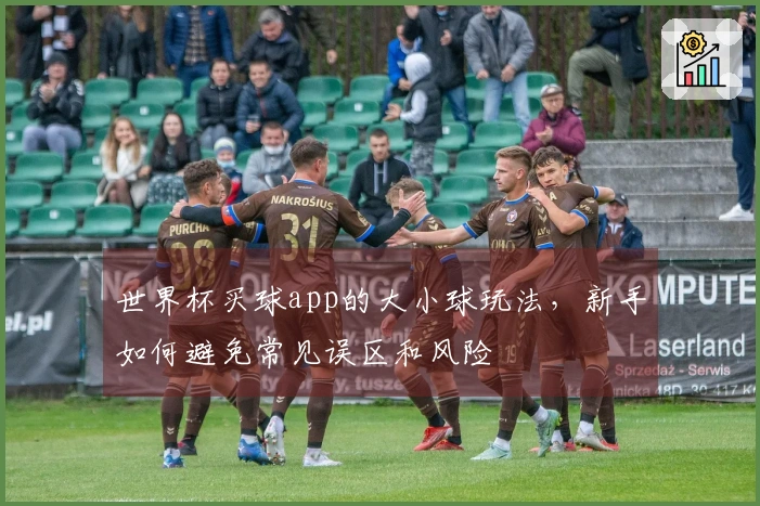 世界杯买球app的大小球玩法，新手如何避免常见误区和风险