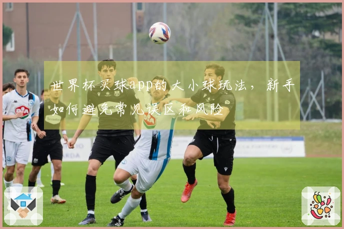 世界杯买球app的大小球玩法，新手如何避免常见误区和风险