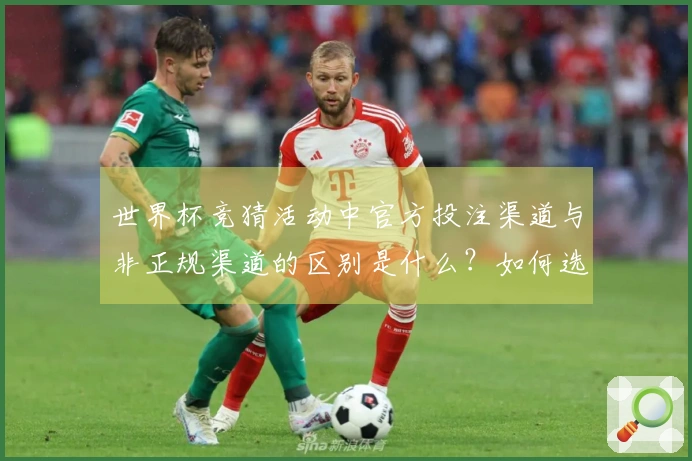 世界杯竞猜活动中官方投注渠道与非正规渠道的区别是什么？如何选择？