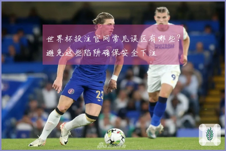 世界杯投注官网常见误区有哪些？避免这些陷阱确保安全下注