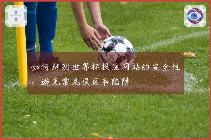 如何辨别世界杯投注网站的安全性，避免常见误区和陷阱