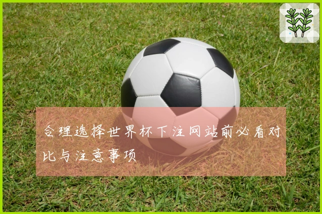合理选择世界杯下注网站前必看对比与注意事项